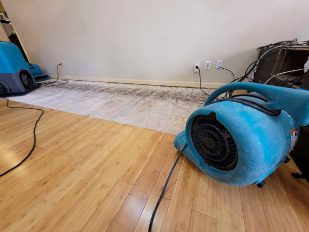 Professional Basement Flood Cleanup technician working in Greenfield, OH